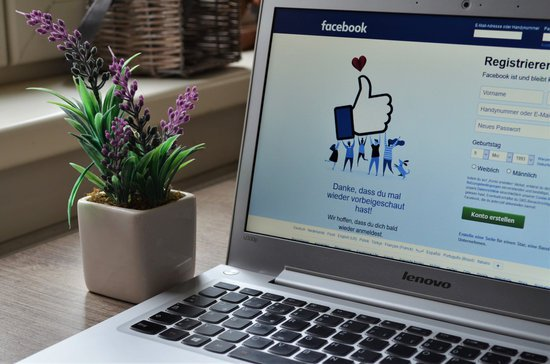 A laptop with the facebook login page next to a plant on a desk