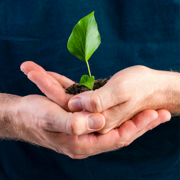 A man holding a ittle plant