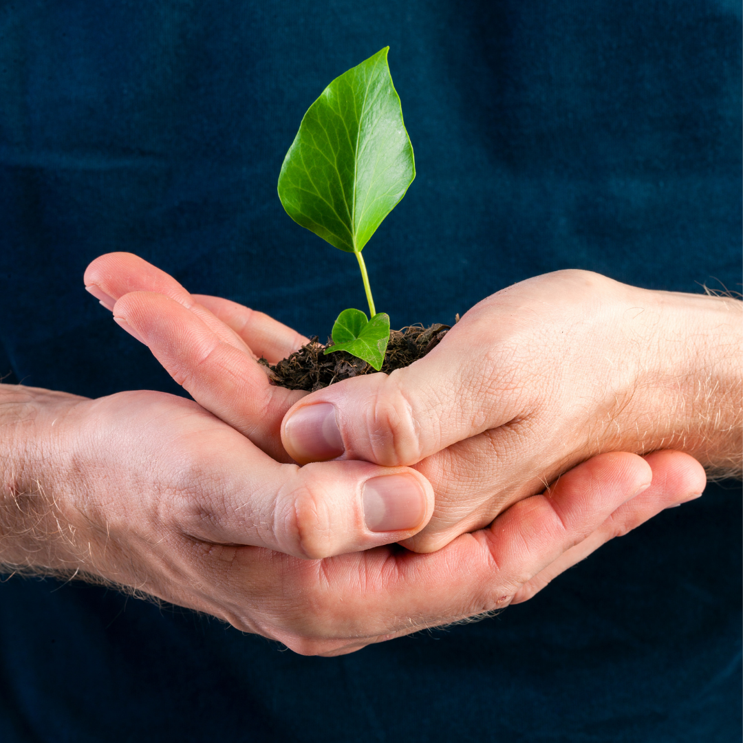 A man holding a ittle plant