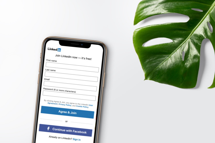 A phone displaying the LinkedIn login page next to a large leaf