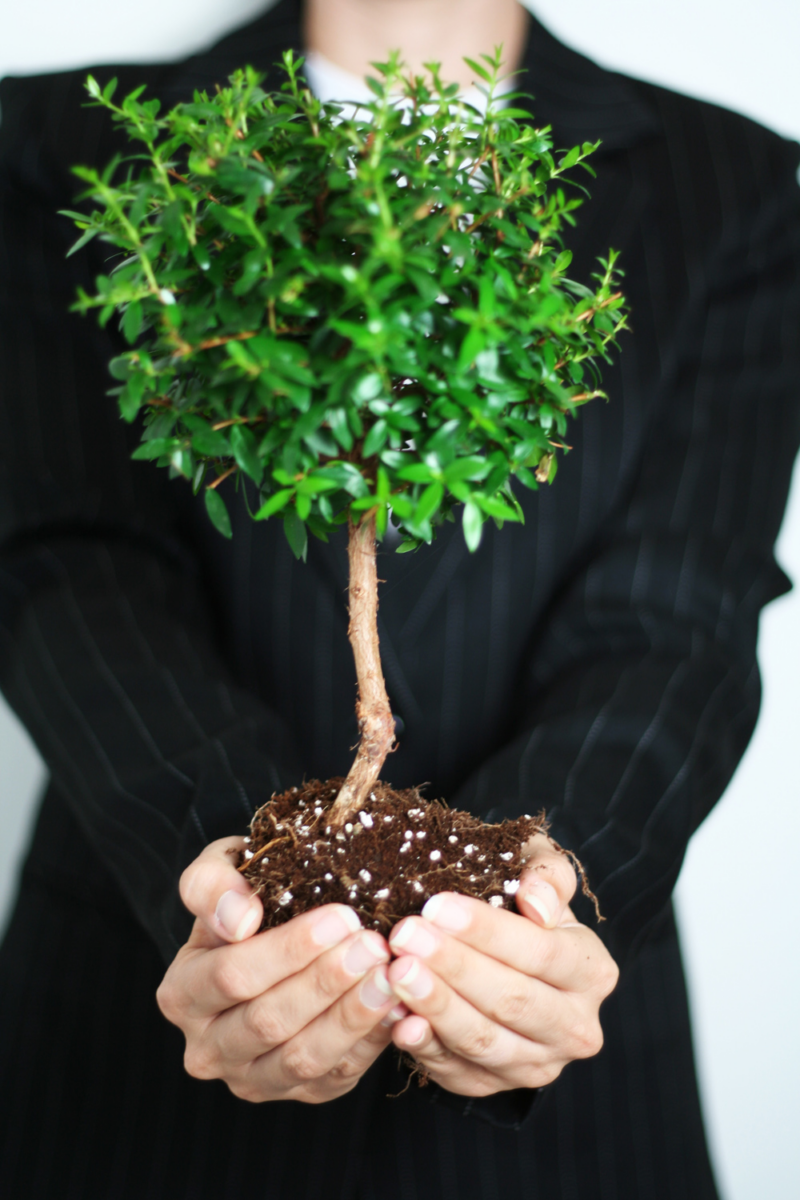 A woman holding a plant