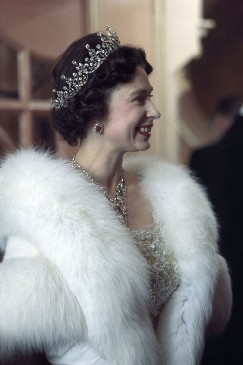 A royal woman in a beautiful dress and fur shawl