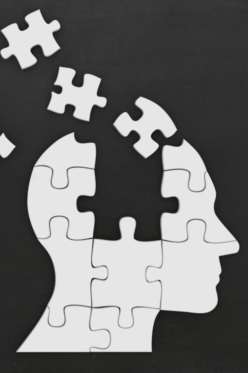 Clean, modern puzzle pieces fitting together perfectly to form the outline of a human head.