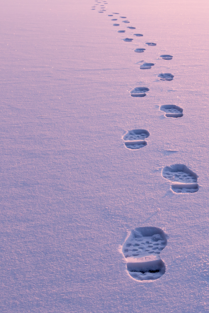 Footprints in the snow heading away.