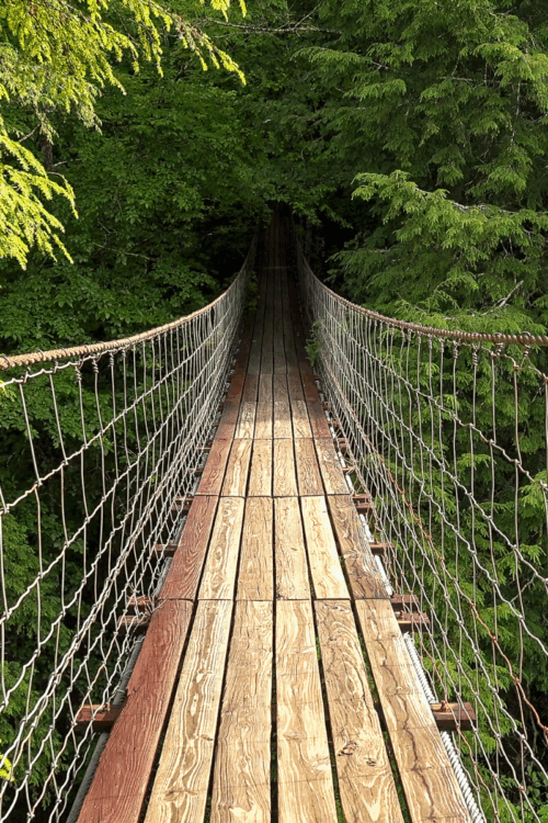 A wooden bridge heading into a forest
