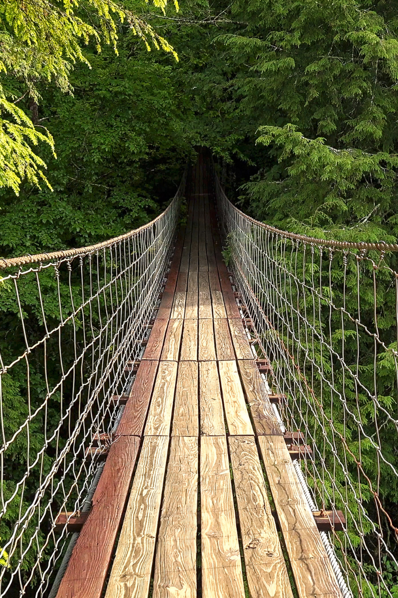 A wooden bridge heading into a forest