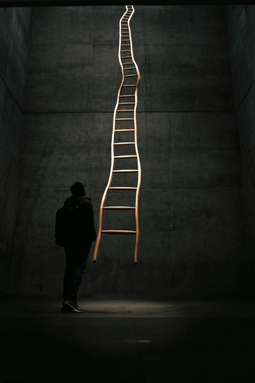 A person looking up at a ladder