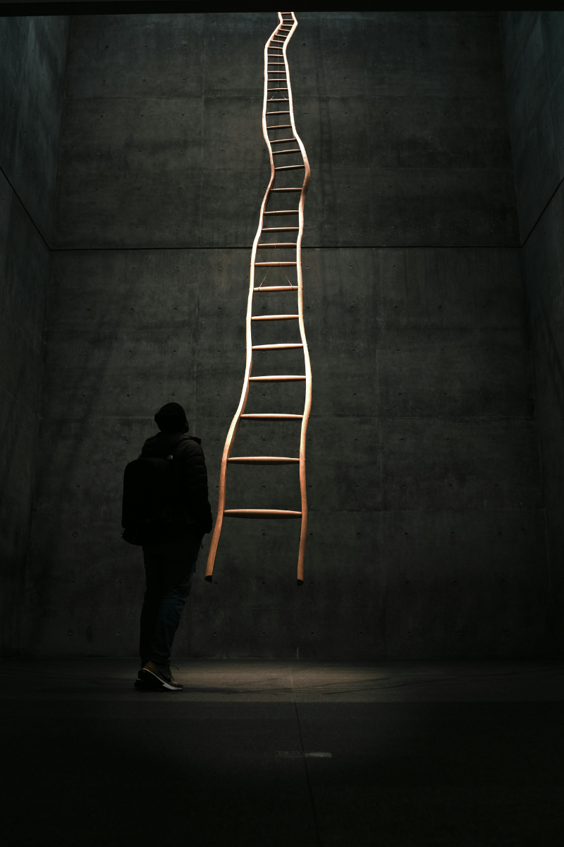 A person looking up at a ladder